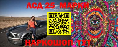 амф Рыбинск