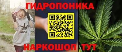 амф Рыбинск