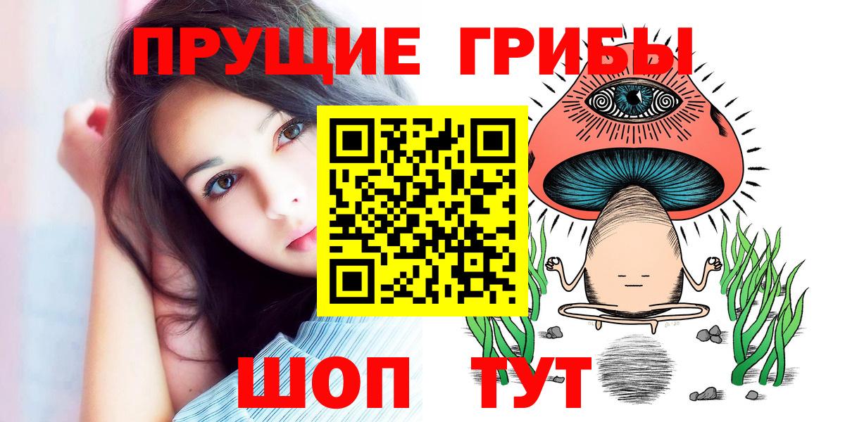 Псилоцибиновые грибы Psilocybe Рузаевка